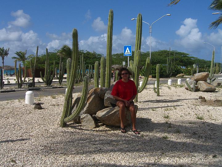 Aruba - January 2008 033.JPG